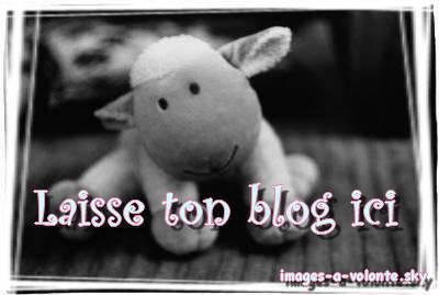 vasi lache ton blog!!